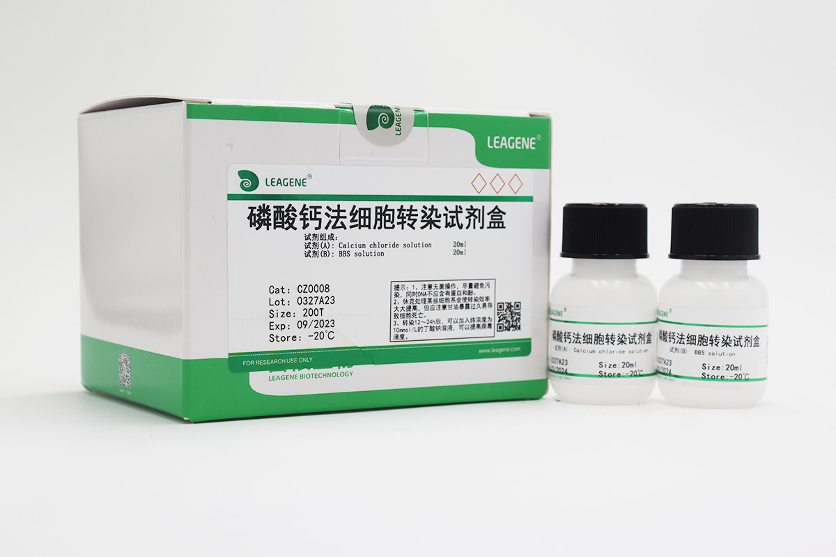 磷酸鈣法細胞轉(zhuǎn)染試劑盒