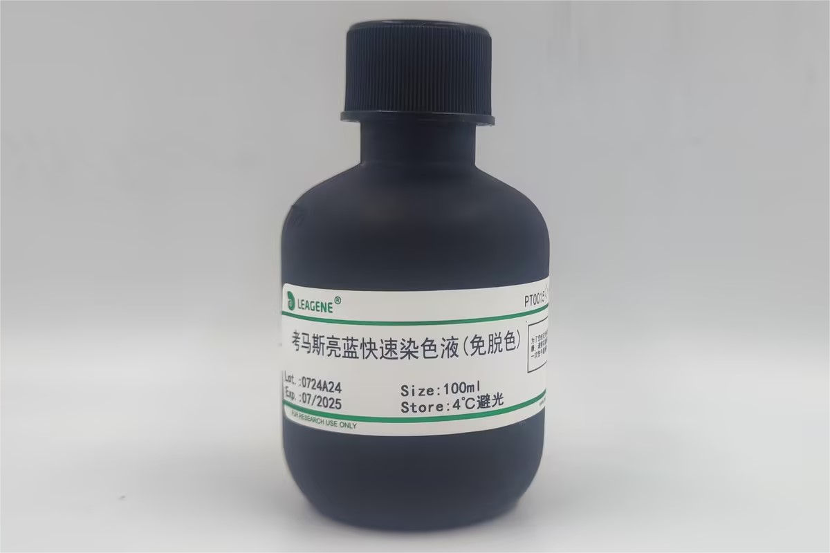 考馬斯亮藍快速染色液(免脫色)